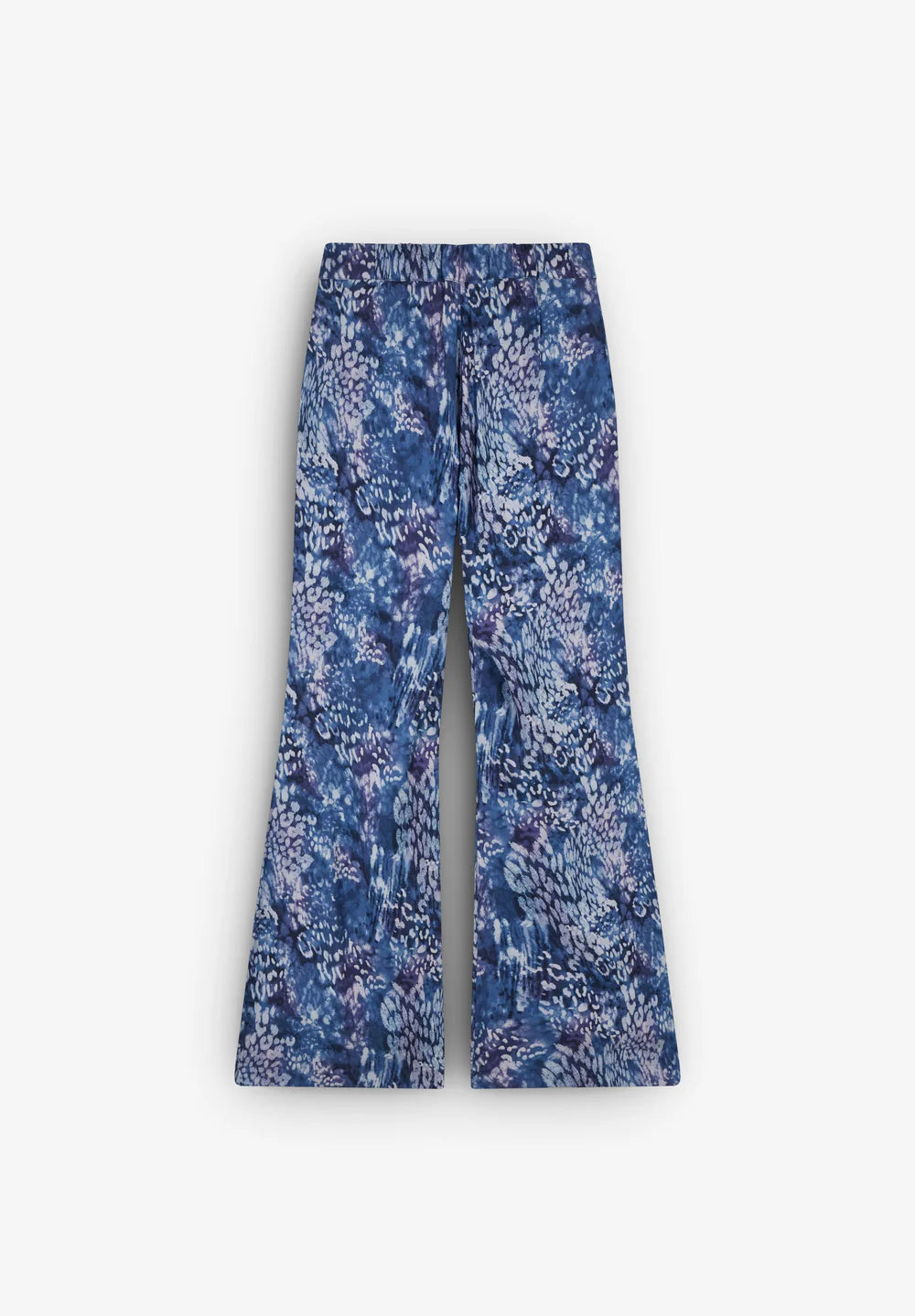 Pantalon Scaniblue Print