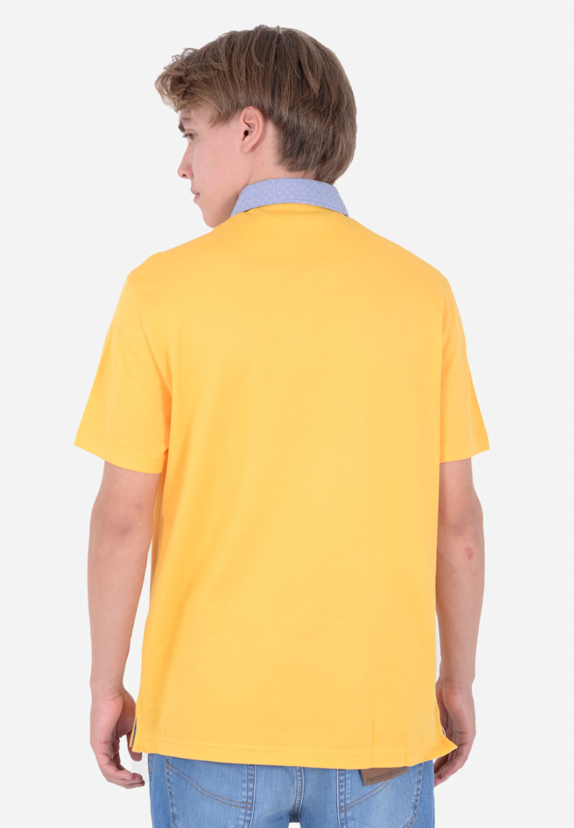 Polo Harmont & Blaine