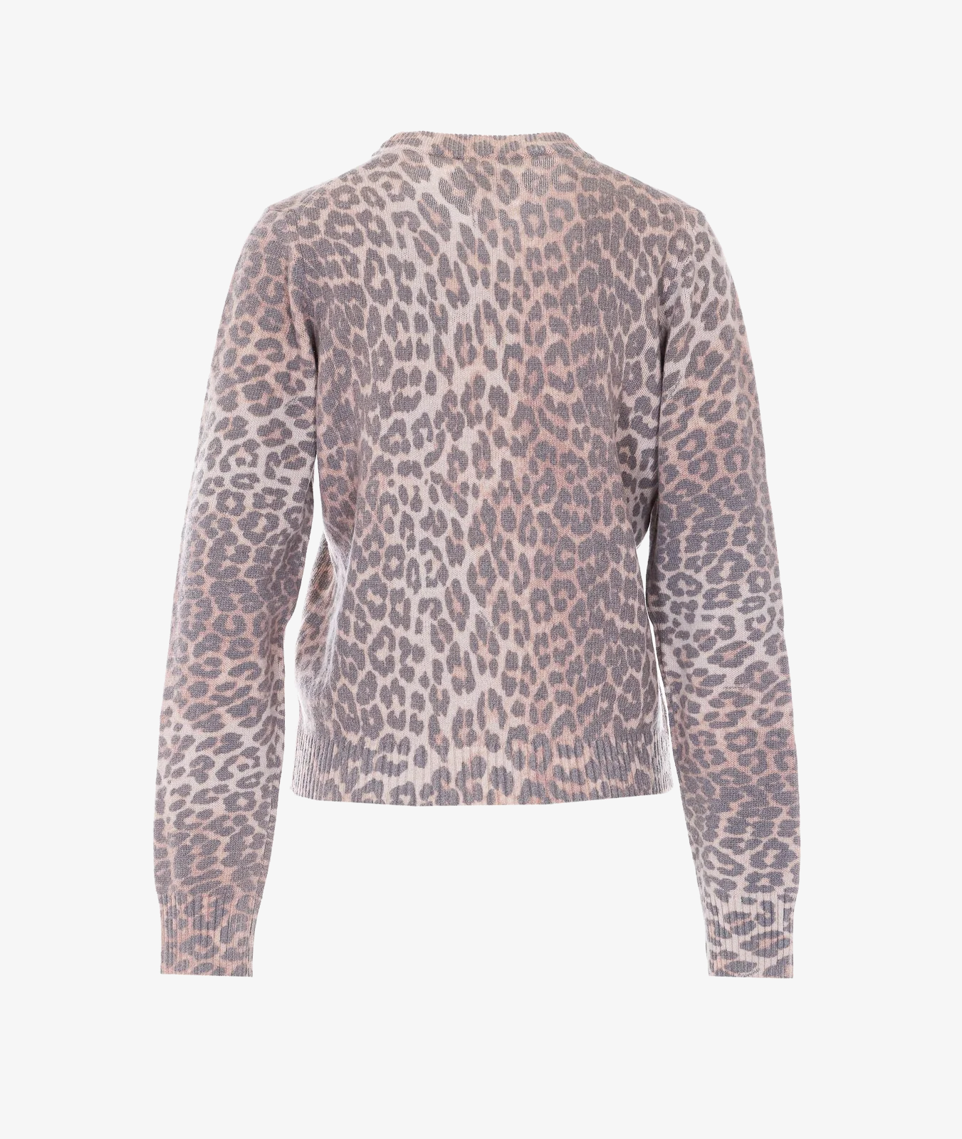 Sweater Puppy Graphic Wool