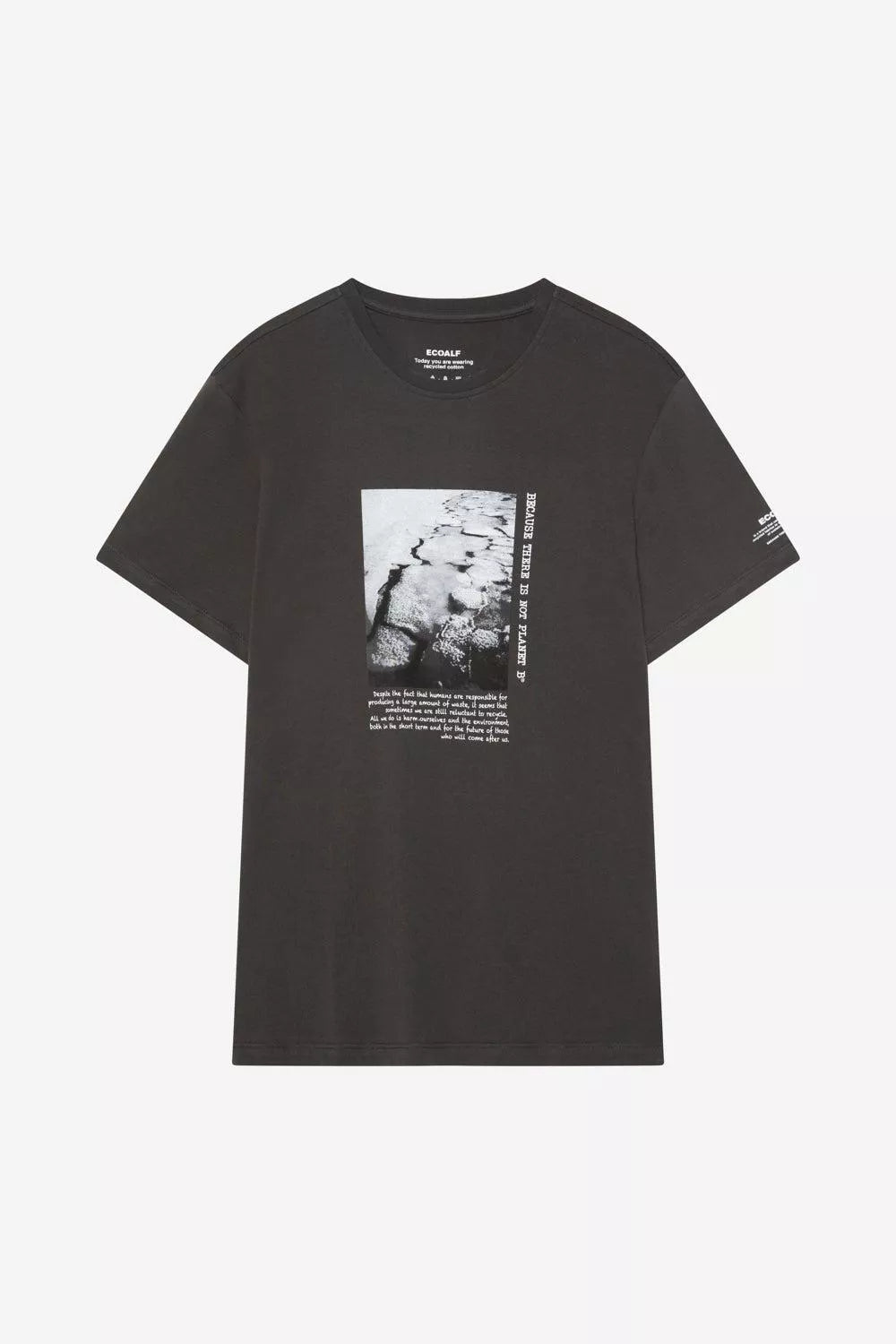 Camiseta Serta