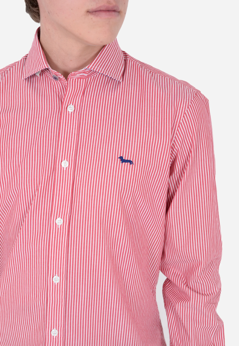 Camisa Harmont & Blaine