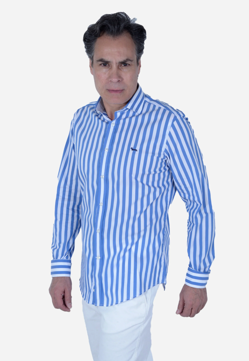 Camisa Harmont & Blaine