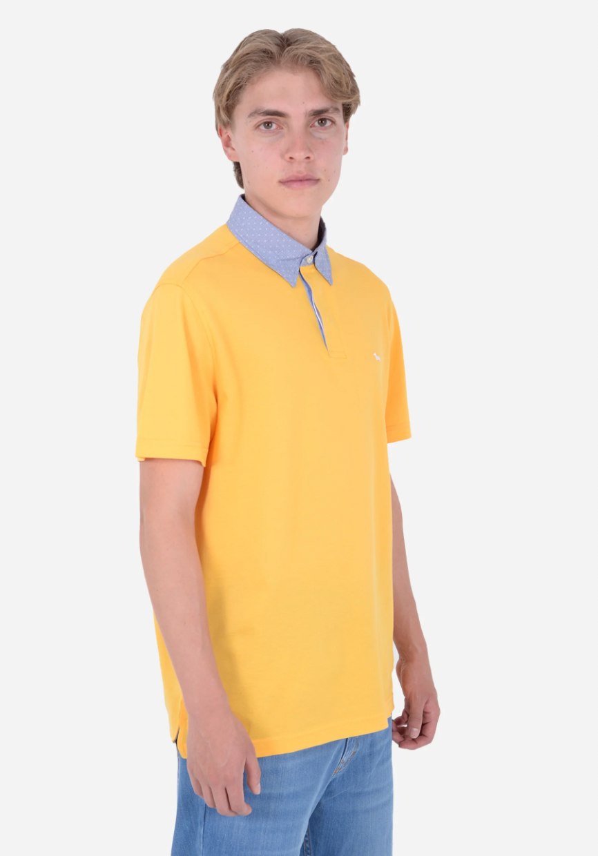 Polo Harmont & Blaine