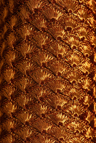 Mini Seashell Copper